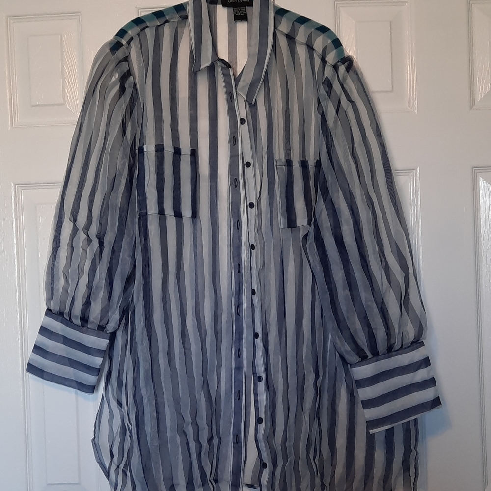 Ashley Stewart Organza Blouse